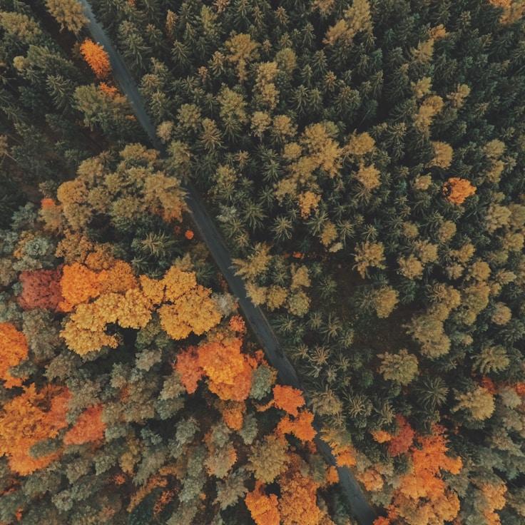 Alpine wilderness view